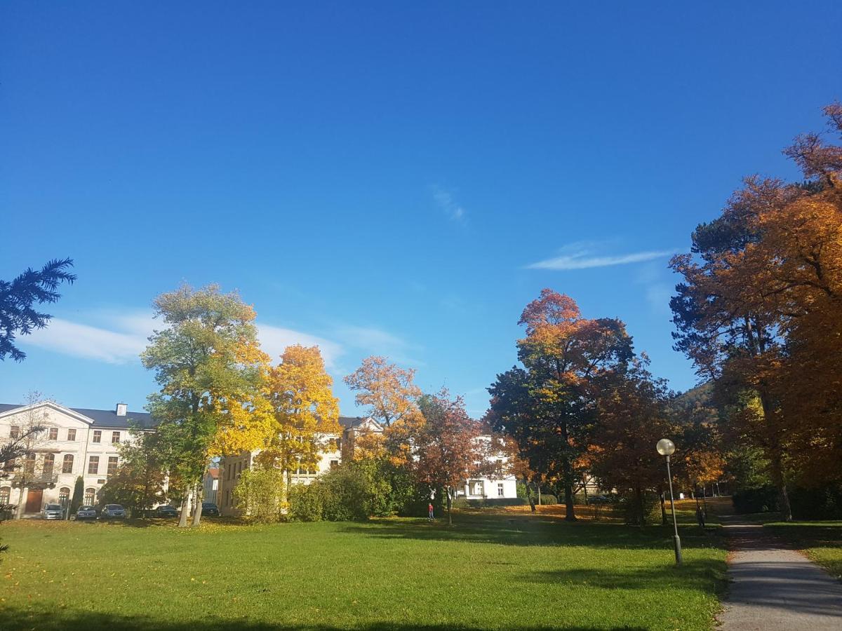 Villa Am Park مينينجن المظهر الخارجي الصورة